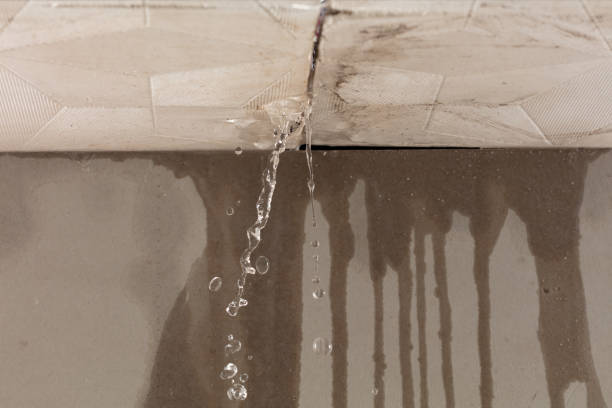 Professional Water Damage Inspection technician working in Callaway, MD